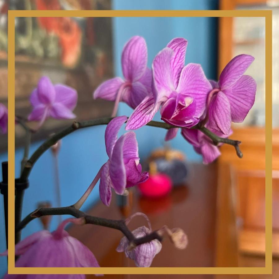 로마 La Casa Di Efra 아파트 외부 사진
